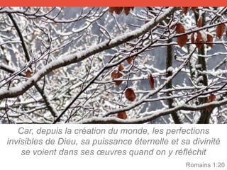 Car, depuis la création du monde, les perfections
invisibles de Dieu, sa puissance éternelle et sa divinité
se voient dans ses œuvres quand on y réfléchit
Romains 1:20
 