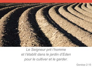 Le Seigneur prit l’homme
et l’établit dans le jardin d’Eden
pour le cultiver et le garder.
Genèse 2:15
 