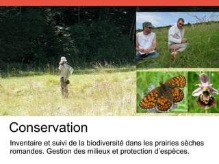 Inventaire et suivi de la biodiversité dans les prairies sèches
romandes. Gestion des milieux et protection d’espèces.
Conservation
 