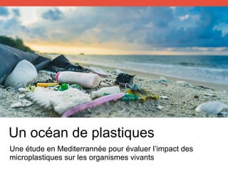 Une étude en Mediterrannée pour évaluer l’impact des
microplastiques sur les organismes vivants
Un océan de plastiques
 