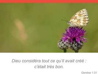 Dieu considéra tout ce qu’il avait créé :
c’était très bon.
Genèse 1:31
 