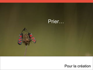 Prier…
Pour la création
 