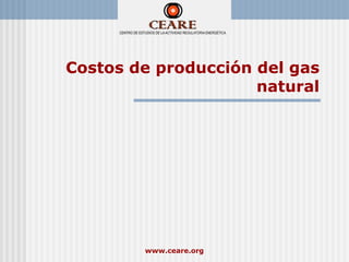 Costos de producción del gas
                     natural




        www.ceare.org
 