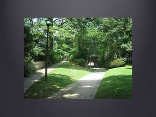 ARCH416PublicHousingII