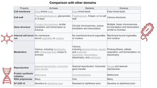 From Methanogens To Halophiles A Guide To Archaea Nutrition - vf4bhrf