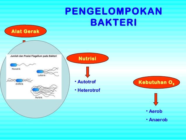 Archaea dan eubateria