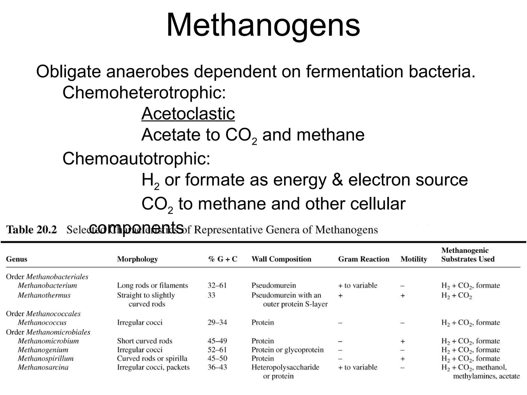 Archaea methanogens | PPT