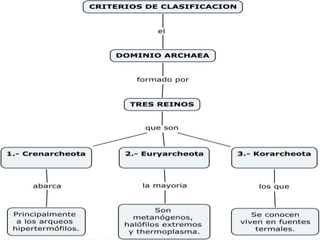Archaeas(arqueobacterias)