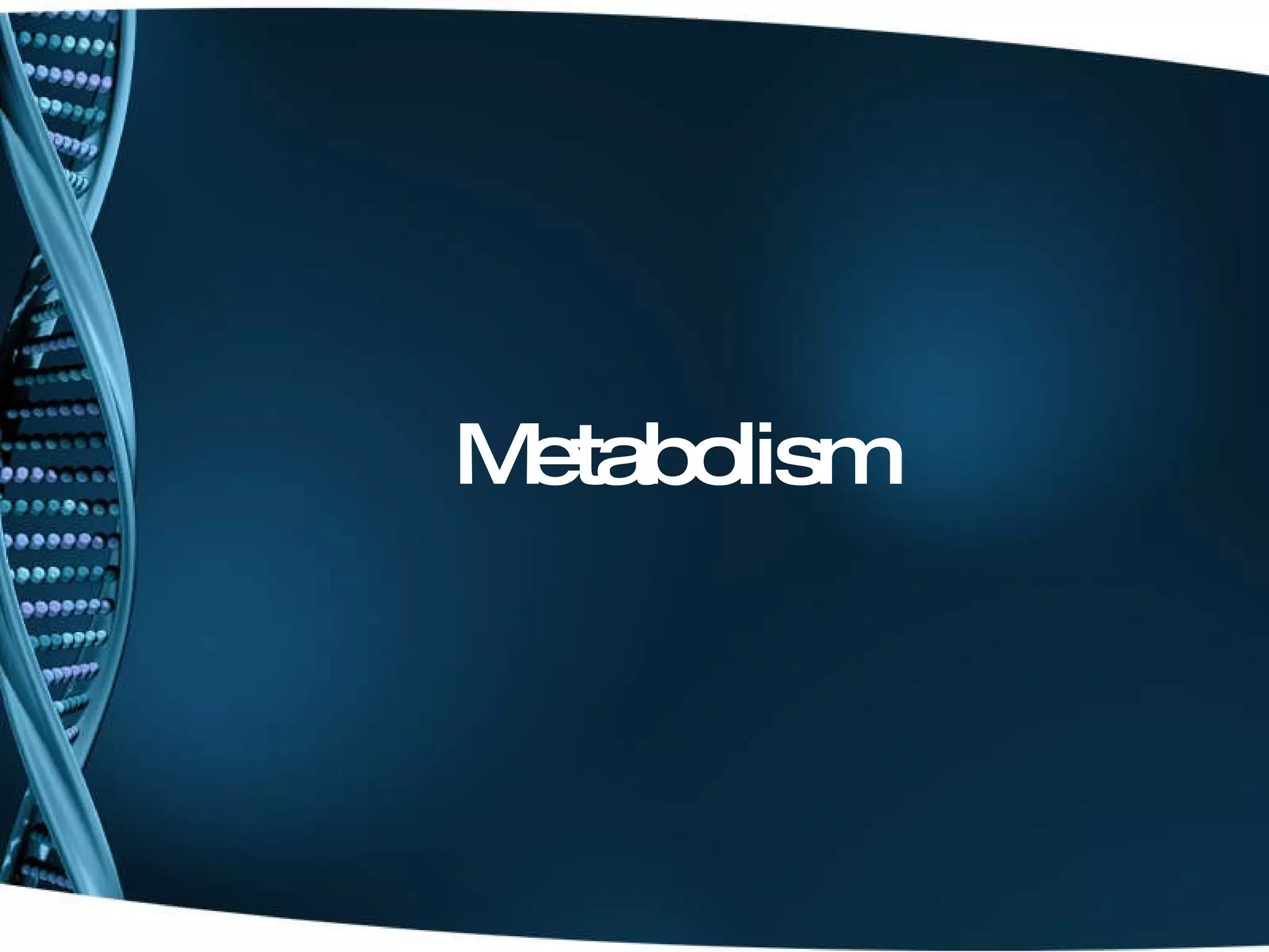 Metabolism 