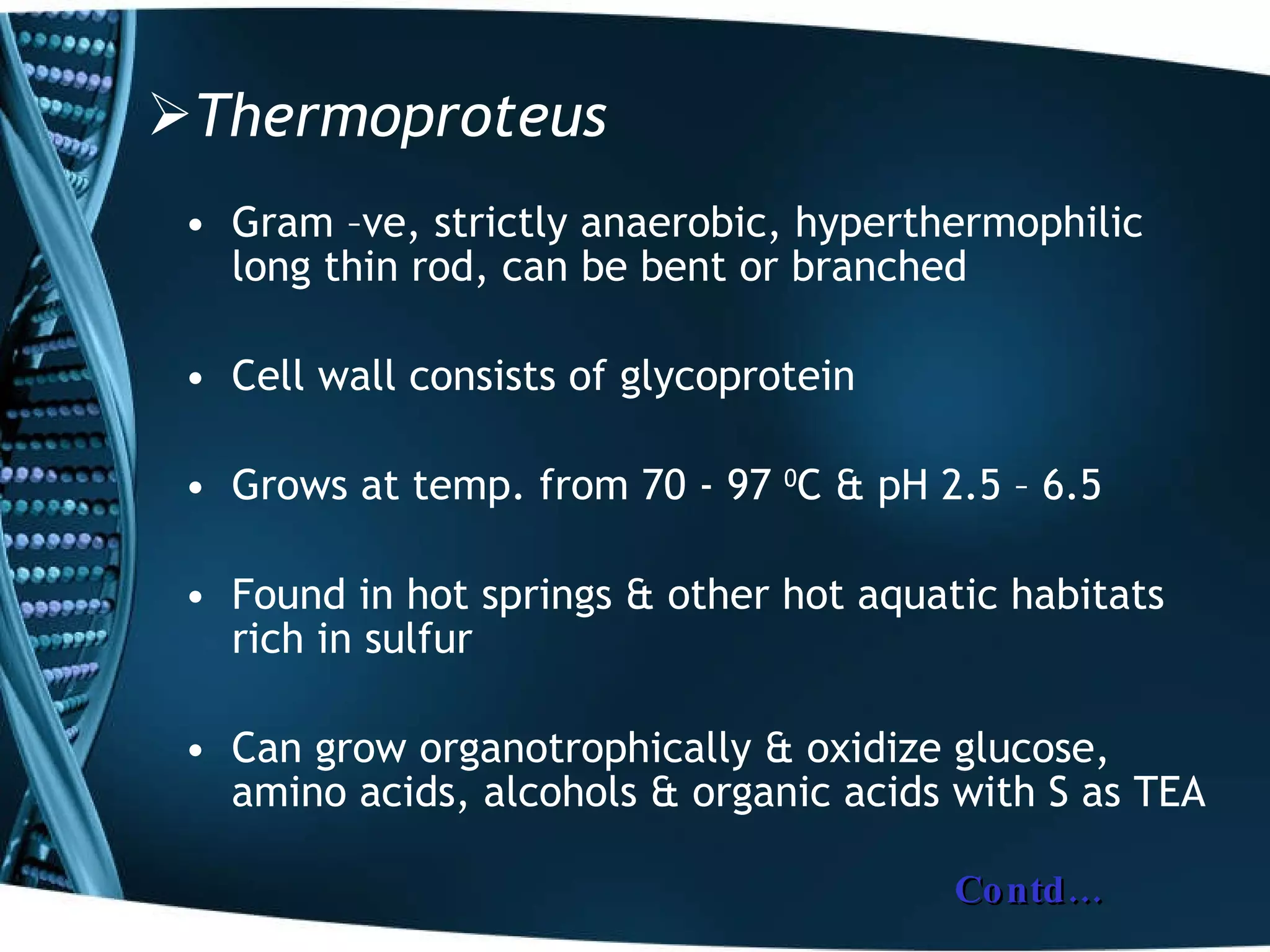 Thermoproteus Gram –ve, strictly anaerobic, hyperthermophilic long thin rod, can be bent or branched Cell wall consists of glycoprotein Grows at temp. from 70 - 97  0 C & pH 2.5 – 6.5 Found in hot springs & other hot aquatic habitats rich in sulfur Can grow organotrophically & oxidize glucose, amino acids, alcohols & organic acids with S as TEA Contd… 