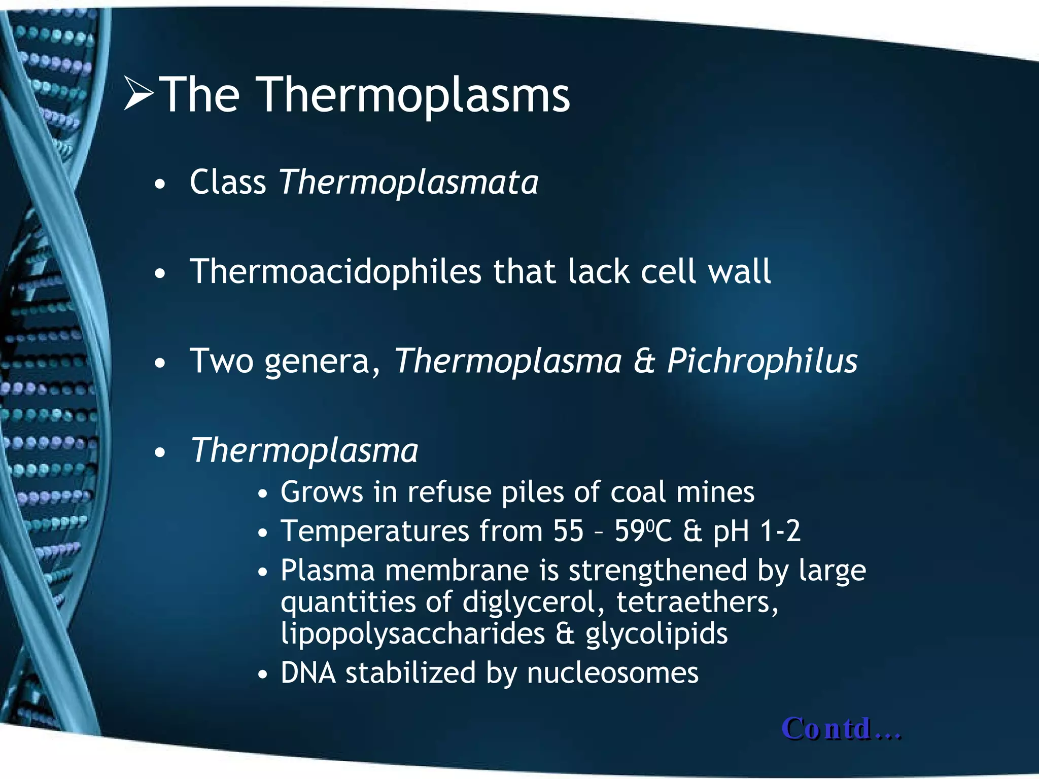 The Thermoplasms Class  Thermoplasmata Thermoacidophiles that lack cell wall Two genera,  Thermoplasma & Pichrophilus  Thermoplasma Grows in refuse piles of coal mines Temperatures from 55 – 59 0 C & pH 1-2 Plasma membrane is strengthened by large quantities of diglycerol, tetraethers, lipopolysaccharides & glycolipids DNA stabilized by nucleosomes Contd… 