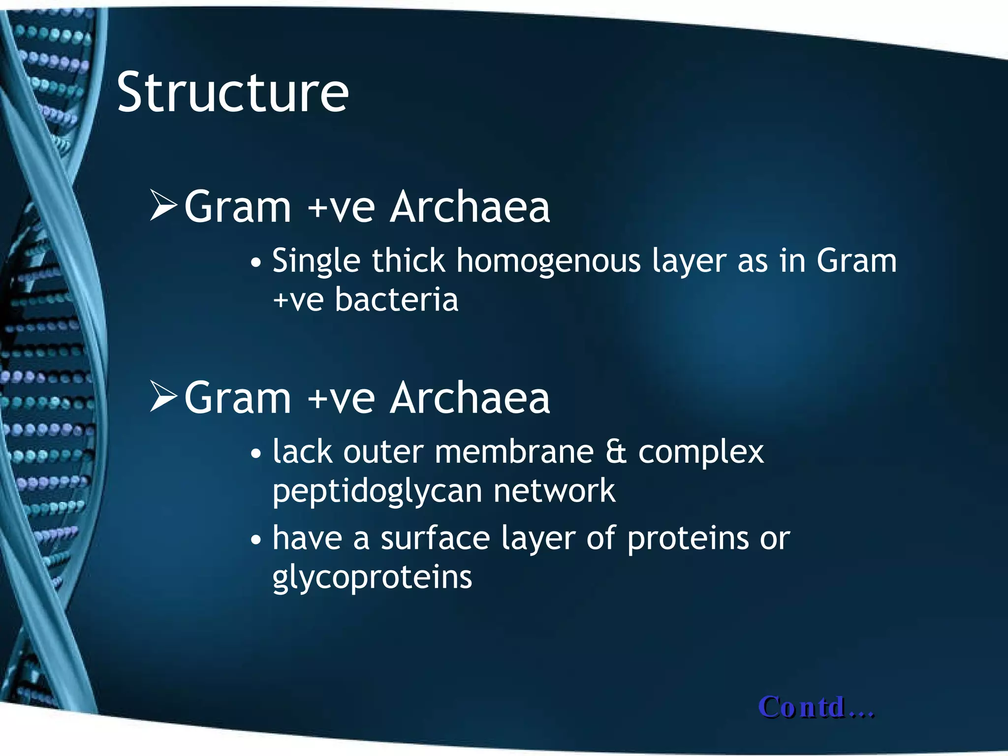 Structure Gram +ve Archaea Single thick homogenous layer as in Gram +ve bacteria Gram +ve Archaea lack outer membrane & complex peptidoglycan network have a surface layer of proteins or glycoproteins  Contd… 