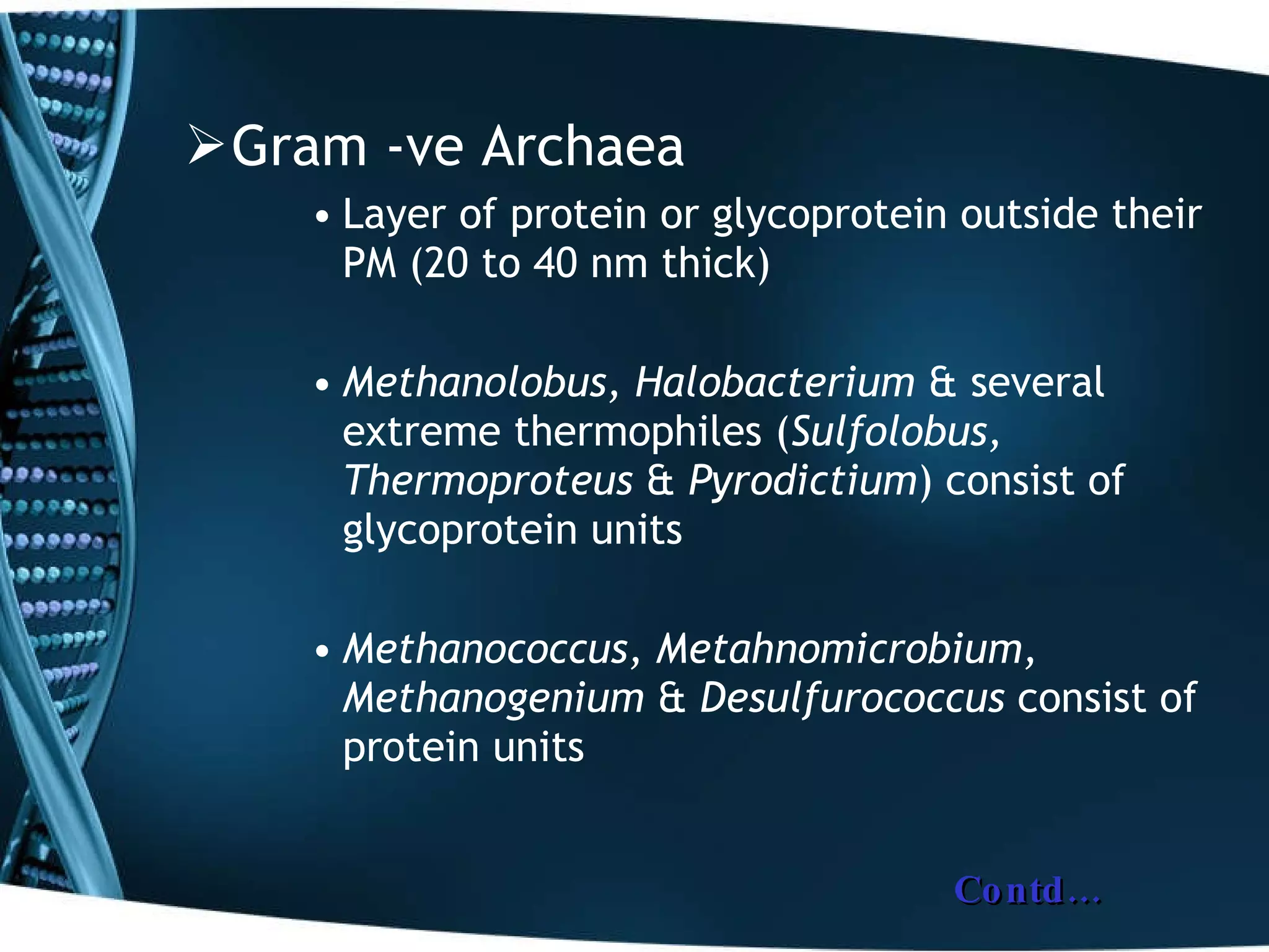 Gram -ve Archaea Layer of protein or glycoprotein outside their PM (20 to 40 nm thick) Methanolobus, Halobacterium  & several extreme thermophiles ( Sulfolobus,   Thermoproteus  &  Pyrodictium ) consist of glycoprotein units Methanococcus, Metahnomicrobium, Methanogenium  &  Desulfurococcus  consist of protein units Contd… 