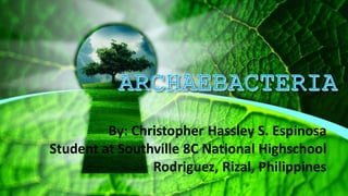 By: Christopher Hassley S. Espinosa
Student at Southville 8C National Highschool
Rodriguez, Rizal, Philippines
 