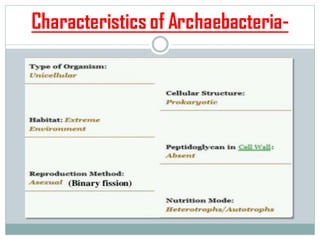 Characteristics of Archaebacteria-
 