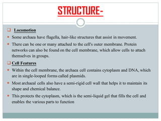 STRUCTURE-
❑ Locomotion
 Some archaea have flagella, hair-like structures that assist in movement.
 There can be one or many attached to the cell's outer membrane. Protein
networks can also be found on the cell membrane, which allow cells to attach
themselves in groups.
❑ Cell Features
 Within the cell membrane, the archaea cell contains cytoplasm and DNA, which
are in single-looped forms called plasmids.
 Most archaeal cells also have a semi-rigid cell wall that helps it to maintain its
shape and chemical balance.
 This protects the cytoplasm, which is the semi-liquid gel that fills the cell and
enables the various parts to function
 