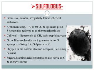 ➢SULFOLOBUS-
 Gram –ve, aerobic, irregularly lobed spherical
archaeons
 Optimum temp.– 70 to 80 0C & optimum pH 2 –
3 hence also referred to as thermoacidophiles
 Cell wall – lipoprotein & CH, lacks peptidoglycan
 Grow lithotrophically on S granules in hot S
springs oxidizing S to Sulphuric acid
 Oxygen Is the normal electron acceptor, Fe+3 may
be used.
 Sugars & amino acids (glutamate) also serve as C
& energy sources
 