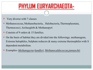 PHYLUM EURYARCHAEOTA-
 Very diverse with 7 classes
 Methanococcus,Methanobacteria,. Halobacteria,Thermoplasmata,
Thermococci,Archaeglobi& Methanopyri
 Consists of 9 orders & 15 families.
 On the basis of habitat they are divided into the followings. methanogens,
Extreme halophiles,Sulphate reducers & many extreme thermophileswith S
dependentmetabolism.
 Examples-Methanopyrus kandleri,Methanocaldococcusjannaschii.
 