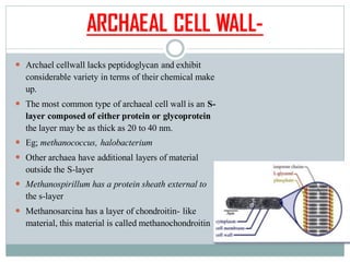 Structure Of Archaebacteria Notes