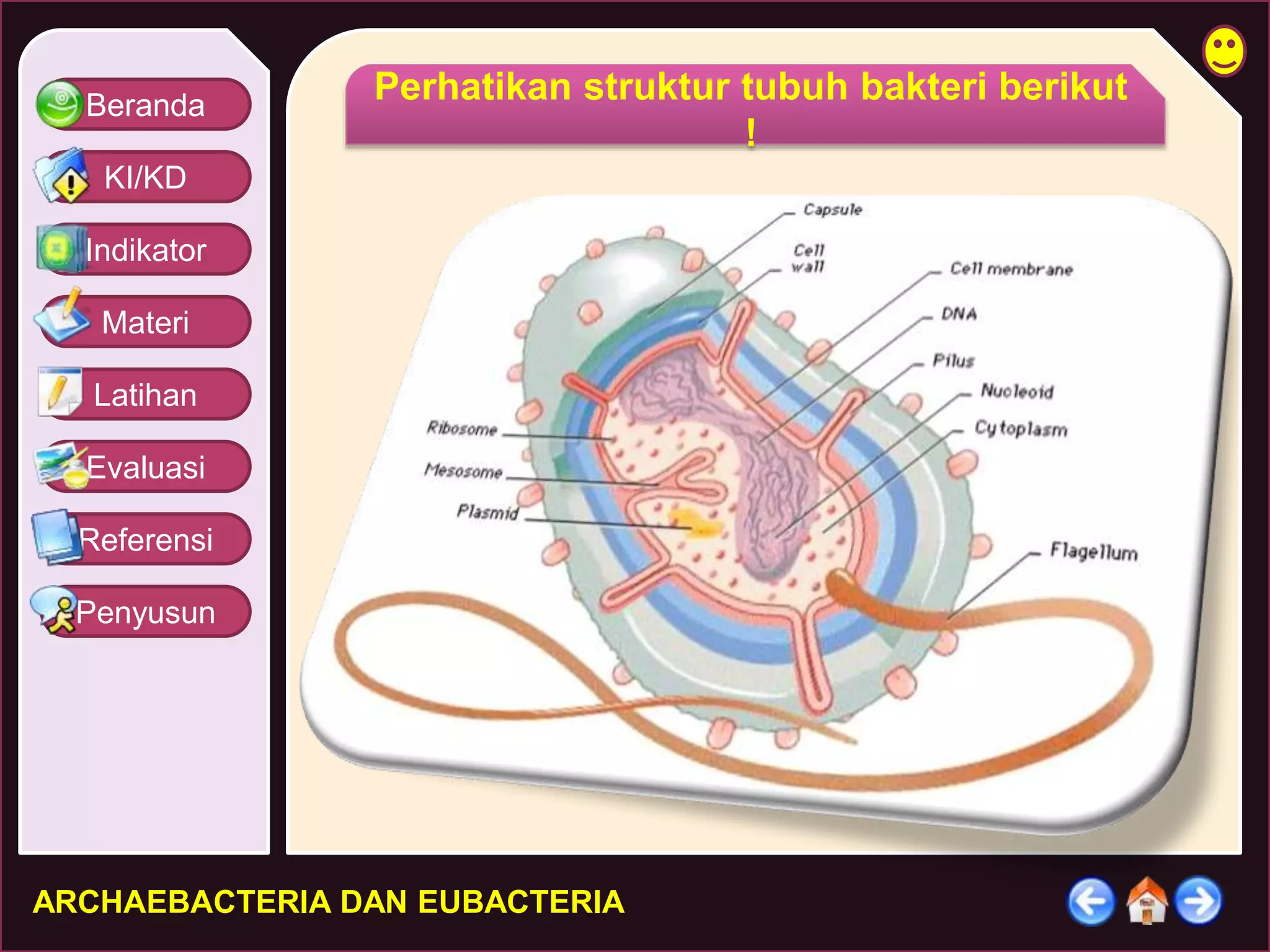 Beranda 
KI/KD 
Indikator 
Materi 
Latihan 
Evaluasi 
Referensi 
Penyusun 
Perhatikan struktur tubuh bakteri berikut 
ARCHAEBACTERIA DAN EUBACTERIA 
! 
 