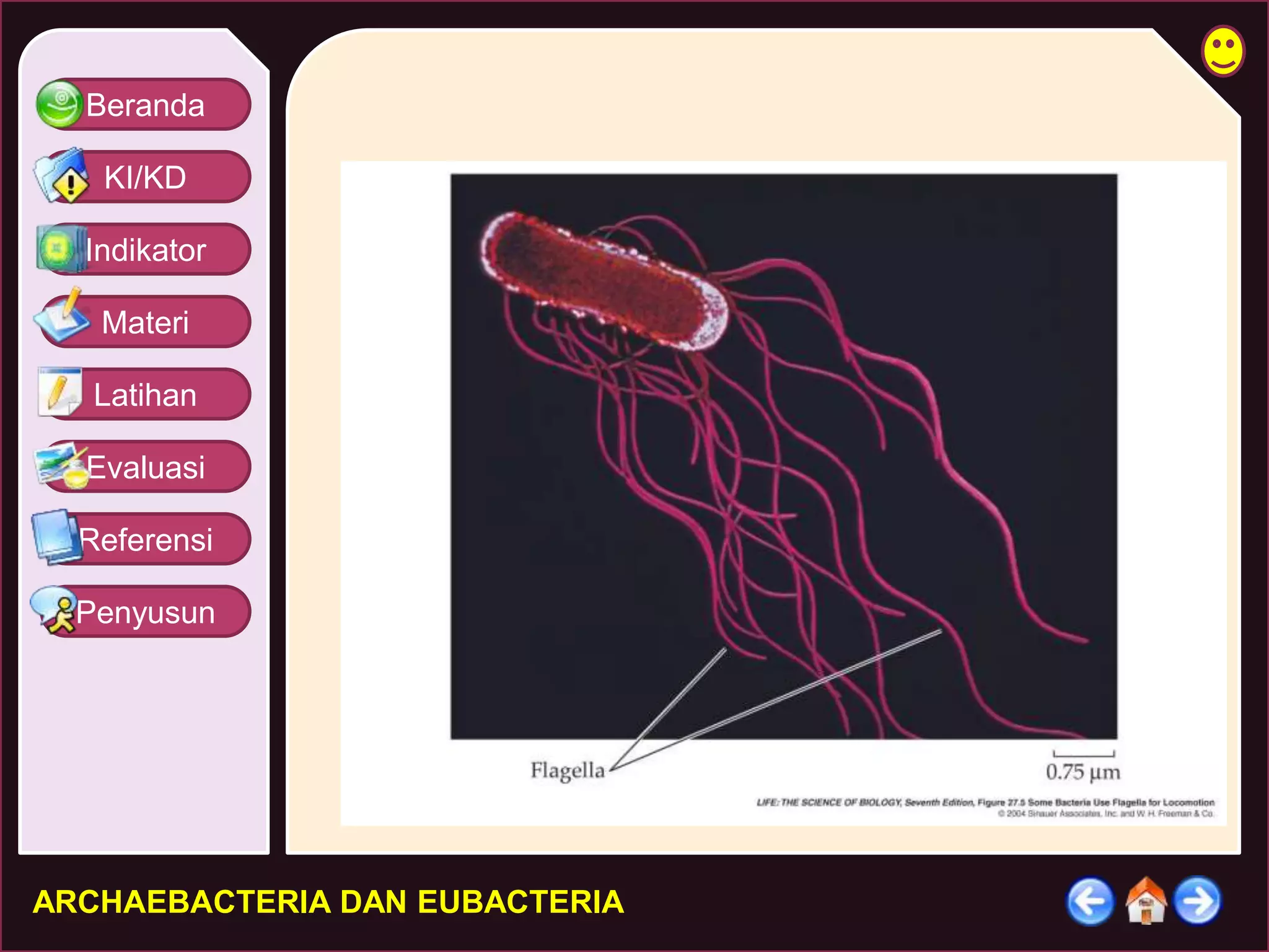 Beranda 
KI/KD 
Indikator 
Materi 
Latihan 
Evaluasi 
Referensi 
Penyusun 
ARCHAEBACTERIA DAN EUBACTERIA 
 