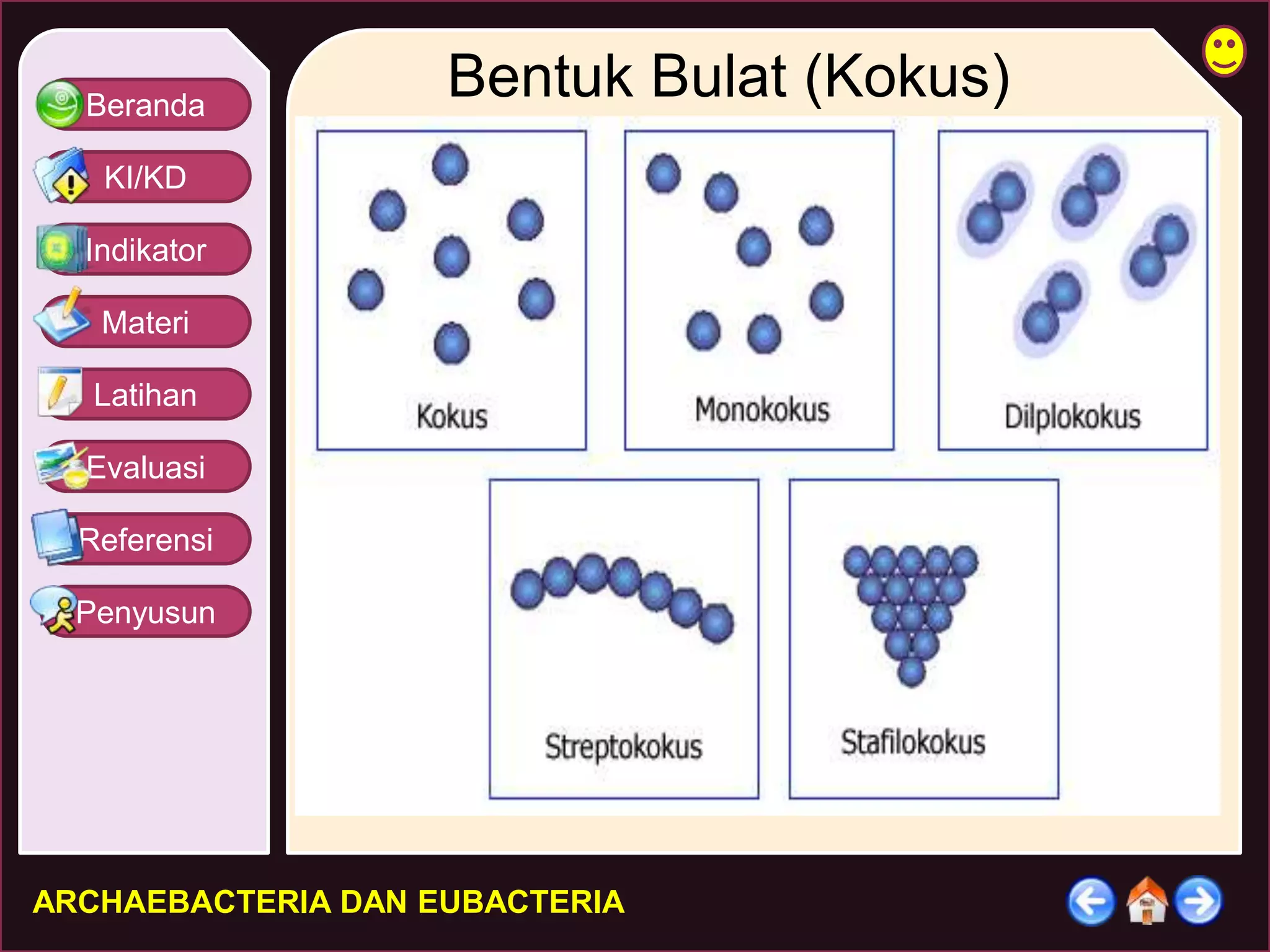 Beranda 
KI/KD 
Indikator 
Materi 
Latihan 
Evaluasi 
Referensi 
Penyusun 
Bentuk Bulat (Kokus) 
ARCHAEBACTERIA DAN EUBACTERIA 
 