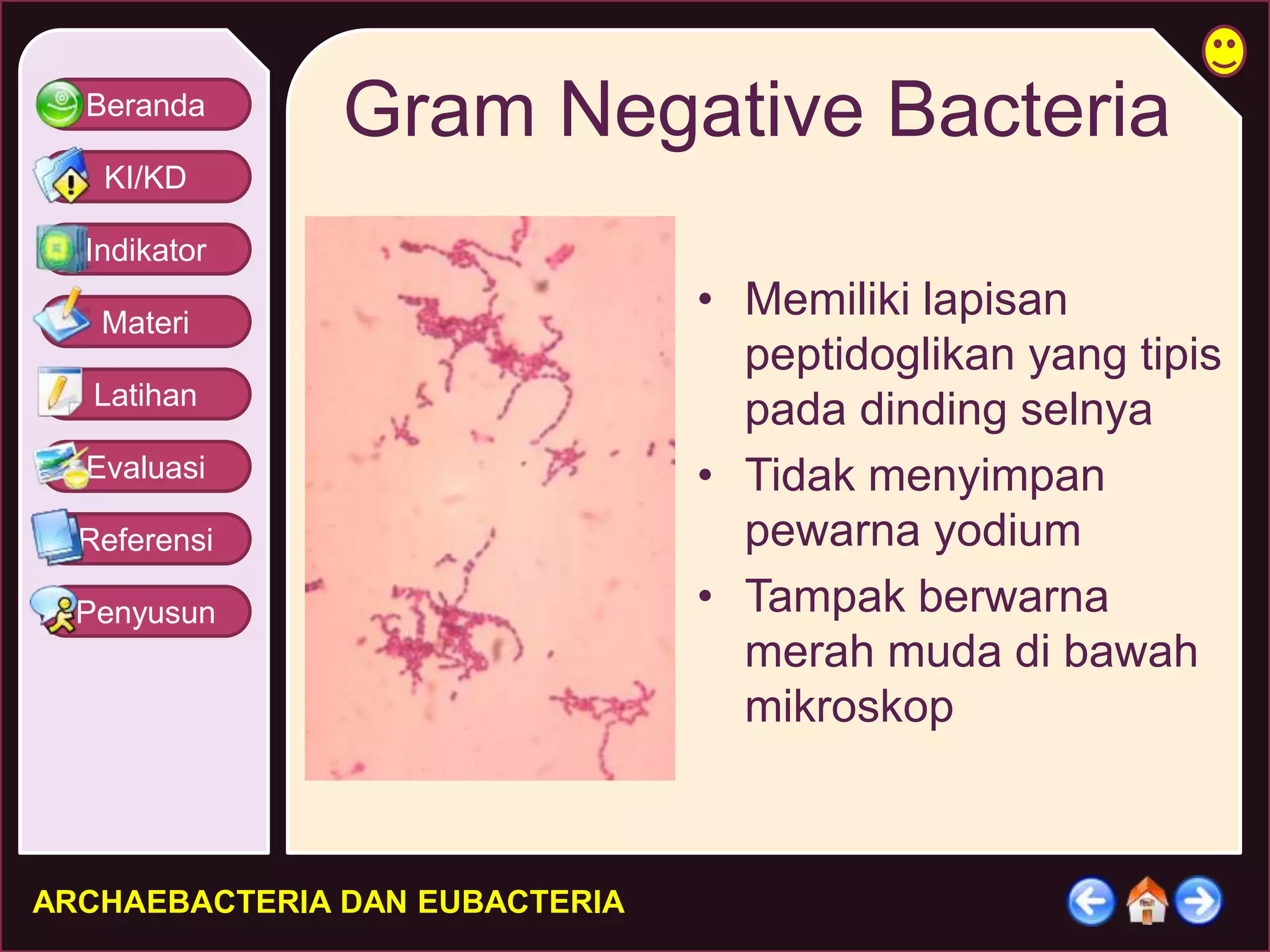 Beranda 
KI/KD 
Indikator 
Materi 
Latihan 
Evaluasi 
Referensi 
Penyusun 
Gram Negative Bacteria 
ARCHAEBACTERIA DAN EUBACTERIA 
• Memiliki lapisan 
peptidoglikan yang tipis 
pada dinding selnya 
• Tidak menyimpan 
pewarna yodium 
• Tampak berwarna 
merah muda di bawah 
mikroskop 
 