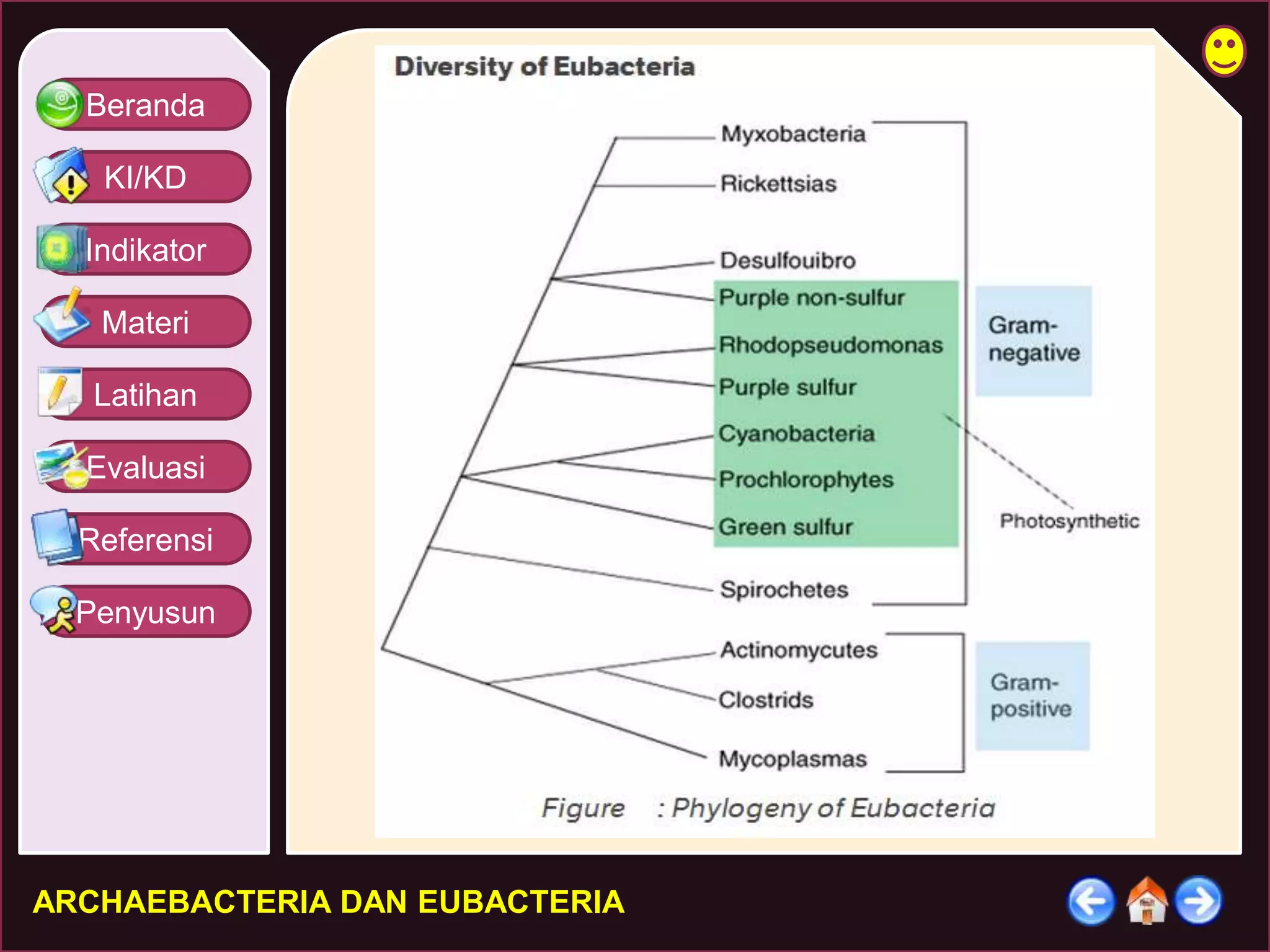 Beranda 
KI/KD 
Indikator 
Materi 
Latihan 
Evaluasi 
Referensi 
Penyusun 
ARCHAEBACTERIA DAN EUBACTERIA 
 