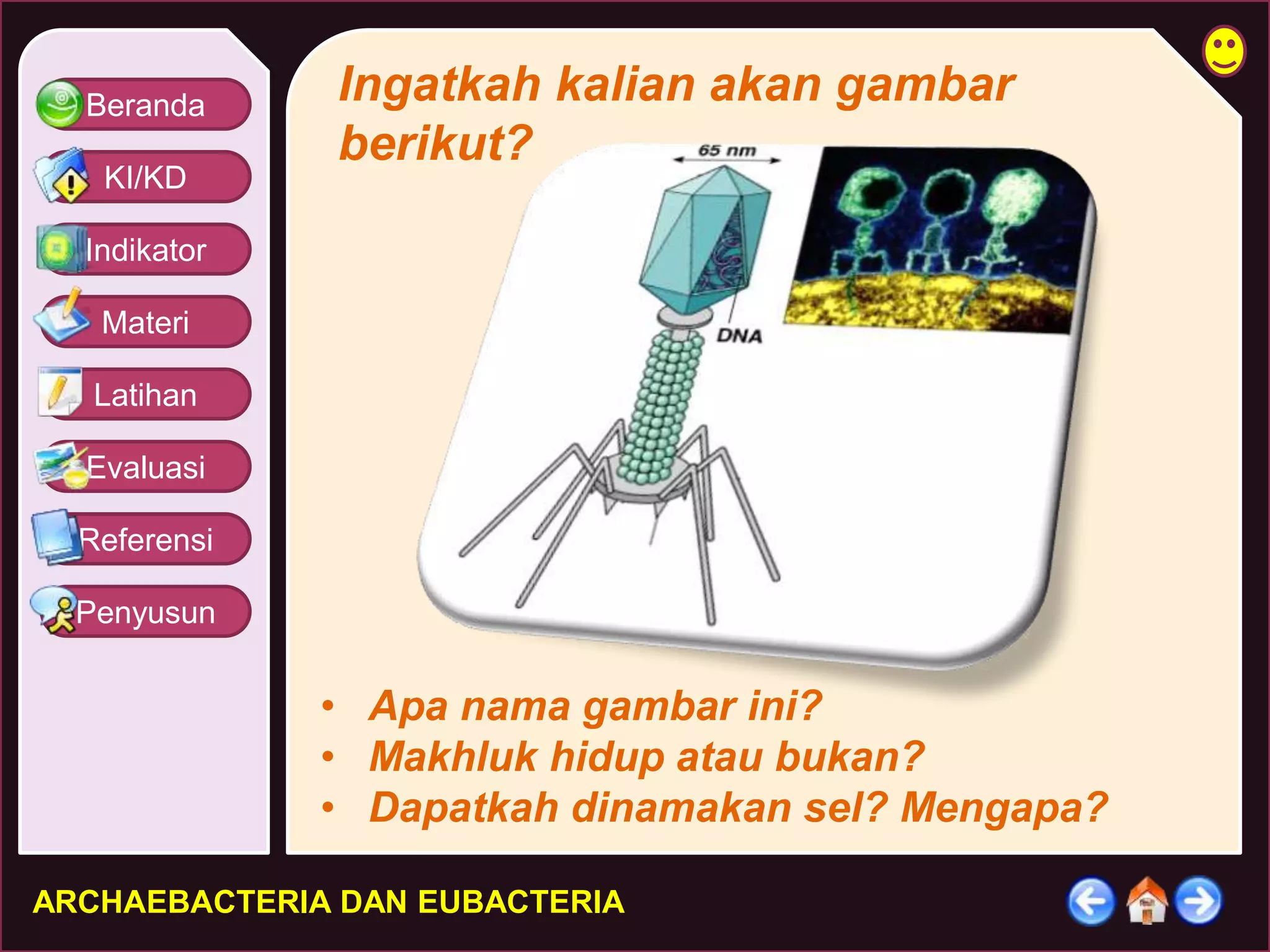 Beranda 
KI/KD 
Indikator 
Materi 
Latihan 
Evaluasi 
Referensi 
Penyusun 
Ingatkah kalian akan gambar 
berikut? 
• Apa nama gambar ini? 
• Makhluk hidup atau bukan? 
• Dapatkah dinamakan sel? Mengapa? 
ARCHAEBACTERIA DAN EUBACTERIA 
 
