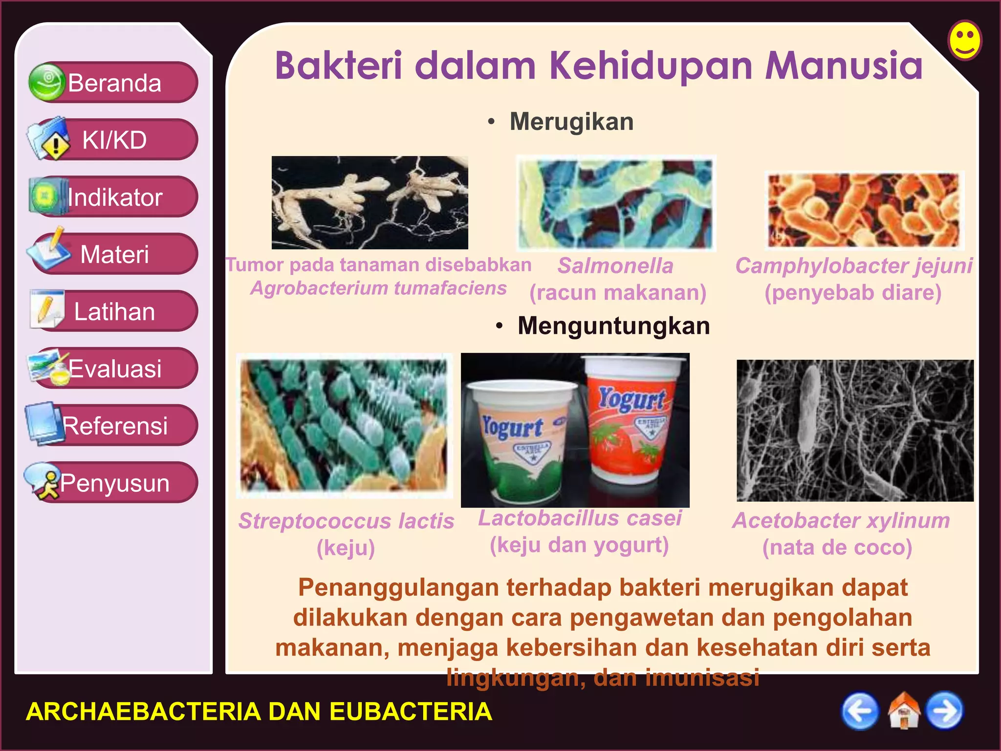 Beranda 
KI/KD 
Indikator 
Materi 
Latihan 
Evaluasi 
Referensi 
Penyusun 
Bakteri dalam Kehidupan Manusia 
• Merugikan 
Tumor pada tanaman disebabkan 
Agrobacterium tumafaciens 
ARCHAEBACTERIA DAN EUBACTERIA 
Salmonella 
(racun makanan) 
• Menguntungkan 
Camphylobacter jejuni 
(penyebab diare) 
Streptococcus lactis 
(keju) 
Lactobacillus casei 
(keju dan yogurt) 
Acetobacter xylinum 
(nata de coco) 
Penanggulangan terhadap bakteri merugikan dapat 
dilakukan dengan cara pengawetan dan pengolahan 
makanan, menjaga kebersihan dan kesehatan diri serta 
lingkungan, dan imunisasi 
 