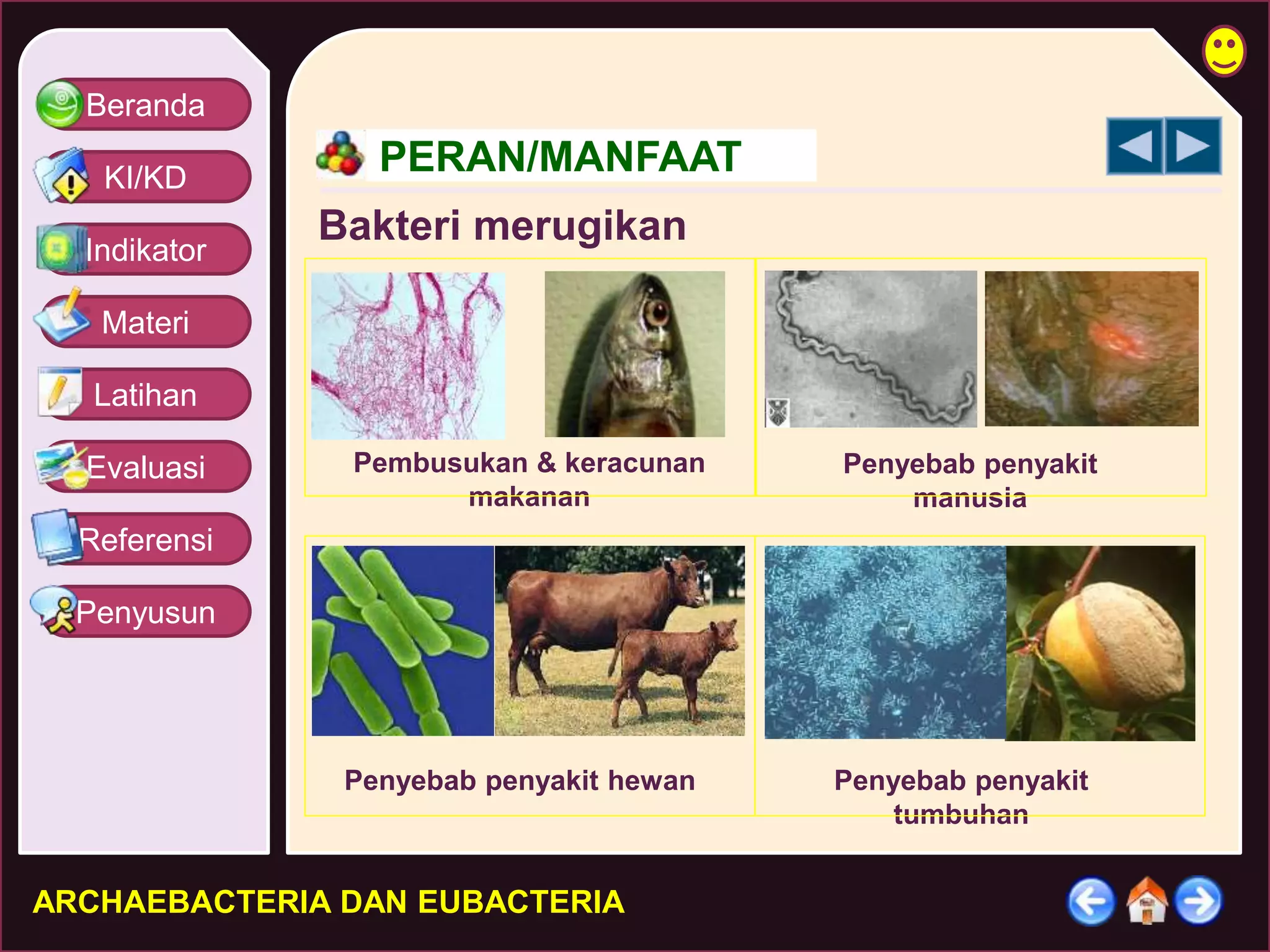 Beranda 
KI/KD 
Indikator 
Materi 
Latihan 
Evaluasi 
Referensi 
Penyusun 
PERAN/MANFAAT 
Bakteri merugikan 
Pembusukan & keracunan 
makanan 
ARCHAEBACTERIA DAN EUBACTERIA 
Penyebab penyakit 
manusia 
Penyebab penyakit hewan Penyebab penyakit 
tumbuhan 
 