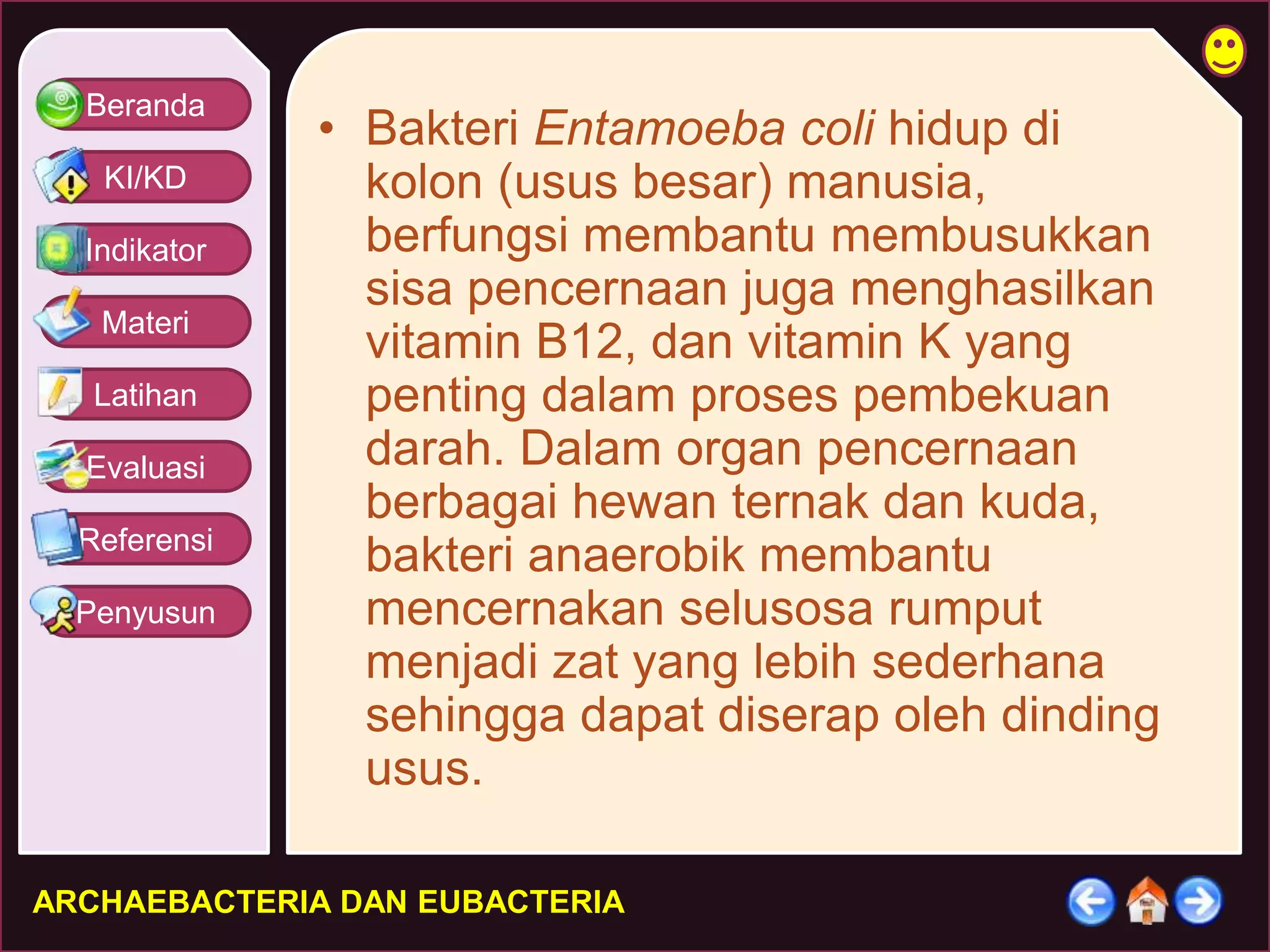 Beranda 
KI/KD 
Indikator 
Materi 
Latihan 
Evaluasi 
Referensi 
Penyusun 
• Bakteri Entamoeba coli hidup di 
kolon (usus besar) manusia, 
berfungsi membantu membusukkan 
sisa pencernaan juga menghasilkan 
vitamin B12, dan vitamin K yang 
penting dalam proses pembekuan 
darah. Dalam organ pencernaan 
berbagai hewan ternak dan kuda, 
bakteri anaerobik membantu 
mencernakan selusosa rumput 
menjadi zat yang lebih sederhana 
sehingga dapat diserap oleh dinding 
usus. 
ARCHAEBACTERIA DAN EUBACTERIA 
 