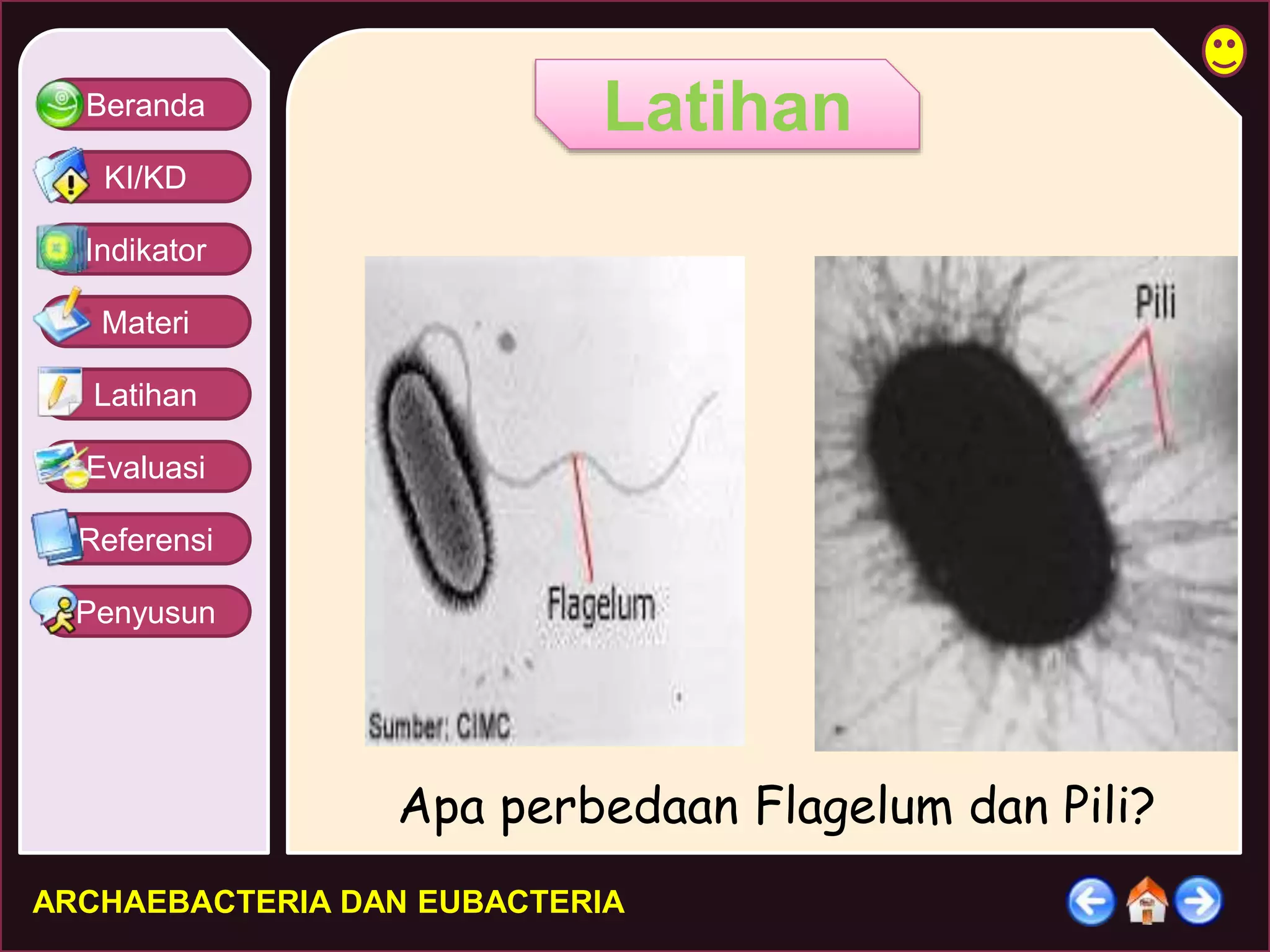 Beranda 
KI/KD 
Indikator 
Materi 
Latihan 
Evaluasi 
Referensi 
Penyusun 
Latihan 
Apa perbedaan Flagelum dan Pili? 
ARCHAEBACTERIA DAN EUBACTERIA 
 