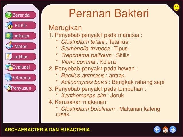 Archaebacteria N Eubacteria Archaebacteria N Eubacteria
