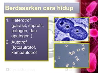Archaebacteria dan Eubacteria new2.pptx