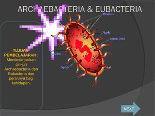 ARCHAEBACTERIA & EUBACTERIA



     TUJUAN
PEMBELAJARAN :
 Mendeskripsikan
      ciri-ciri
Archaebacteria dan
  Eubacteria dan
  perannya bagi
    kehidupan.




                              NEXT
 