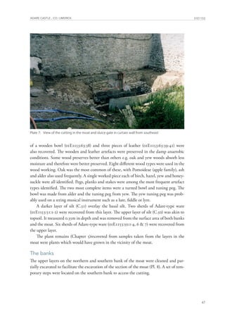 Archaeological report Adare Castle, Co. Limerick | PDF