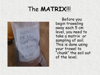 The MATRIX!!!
Before you
begin troweling
away each 5 cm
level, you need to
take a matrix or
sampling of soil.
This is done using
your trowel to
“chunk” the soil out
of the level.
 