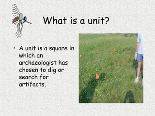 What is a unit?
• A unit is a square in
which an
archaeologist has
chosen to dig or
search for
artifacts.
 