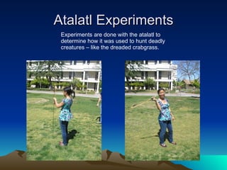 Atalatl Experiments Experiments are done with the atalatl to determine how it was used to hunt deadly creatures – like the dreaded crabgrass. 