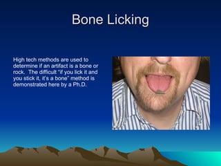 Bone Licking High tech methods are used to determine if an artifact is a bone or rock.  The difficult “if you lick it and you stick it, it’s a bone” method is demonstrated here by a Ph.D. 