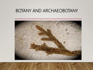 BOTANY AND ARCHAEOBOTANY
 