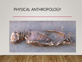 PHYSICAL ANTHROPOLOGY
 