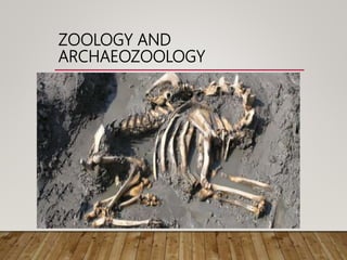 ZOOLOGY AND
ARCHAEOZOOLOGY
 