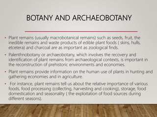 BOTANY AND ARCHAEOBOTANY
• Plant remains (usually macrobotanical remains) such as seeds, fruit, the
inedible remains and waste products of edible plant foods ( skins, hulls,
etcetera) and charcoal are as important as zoological finds.
• Palenthnobotany or archaeobotany, which involves the recovery and
identification of plant remains from archaeological contexts, is important in
the reconstruction of prehistoric environments and economies.
• Plant remains provide information on the human use of plants in hunting and
gathering economies and in agriculture.
• For instance, plant remains tell us about the relative importance of various
foods, food processing (collecting, harvesting and cooking), storage, food
domestication and seasonality ( the exploitation of food sources during
different seasons).
 