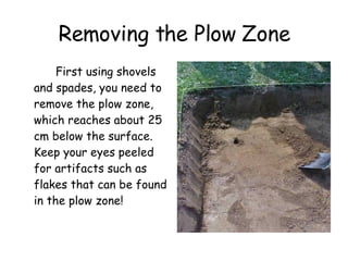 First using shovels and spades, you need to remove the plow zone, which reaches about 25 cm below the surface.  Keep your eyes peeled for artifacts such as flakes that can be found in the plow zone! Removing the Plow Zone 