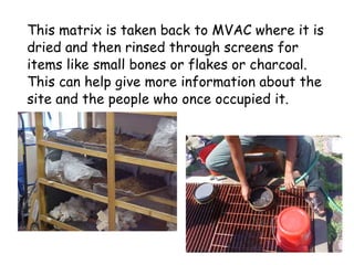 This matrix is taken back to MVAC where it is dried and then rinsed through screens for items like small bones or flakes or charcoal.  This can help give more information about the site and the people who once occupied it. 