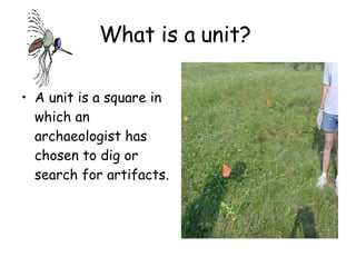 What is a unit?  A unit is a square in which an archaeologist has chosen to dig or search for artifacts. 