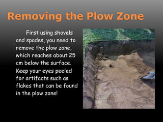 First using shovels
and spades, you need to
remove the plow zone,
which reaches about 25
cm below the surface.
Keep your eyes peeled
for artifacts such as
flakes that can be found
in the plow zone!
Removing the Plow Zone
 