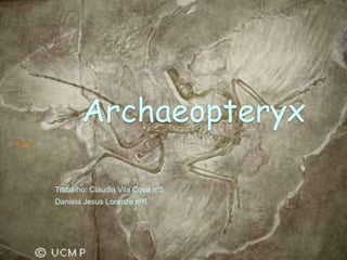 Archaeopteryx

Trabalho: Cláudia Vila Cova nº5
Daniela Jesus Lorenzo nº6
 
